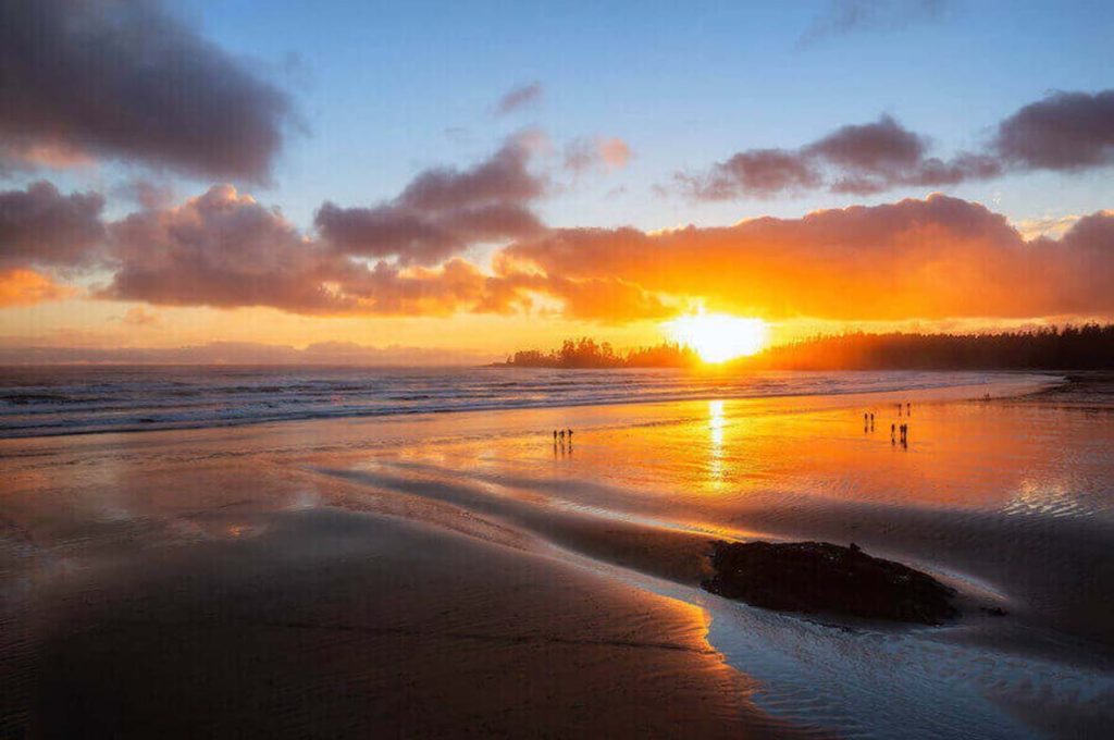 Exploring Tofino’s Top Beaches and Waterfront Getaways: Sandy Shores Unveiled